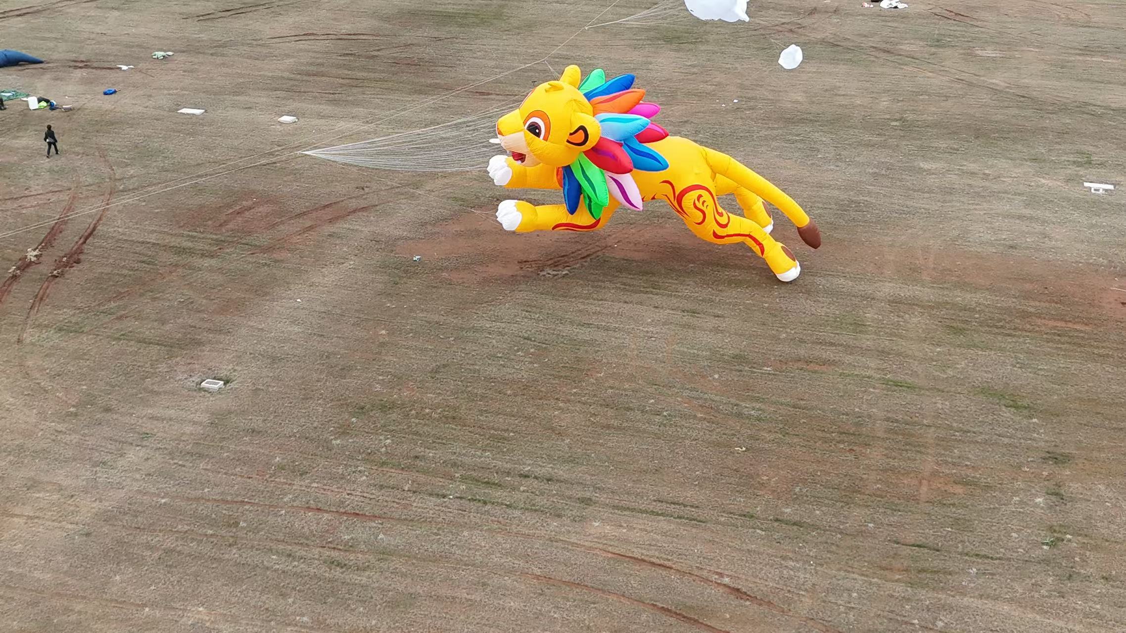 呼伦贝尔市品牌风筝定制风筝加工 - 哪里好