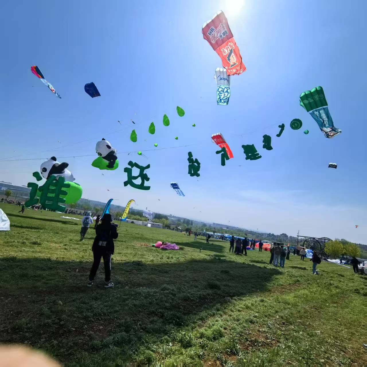 呼伦贝尔市风筝DIY风筝定制 - 一站式服务